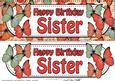 Large Dl Birthday Sister Butterflies 3D Decoupage