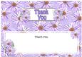 Thank You Daisies Floral Large Dl Matching Insert