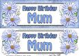 Large Dl Birthday Mum Daisies Floral 3D Decoupage