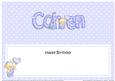 Birthday Cohen Teddies Matching Large Dl Insert