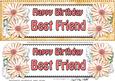 Large Dl Birthday Best Friend Daisies Floral 3D Decoupage