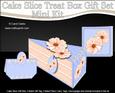 3D Pretty Floral Cake Slice Treat Box Gift Set Mini Kit