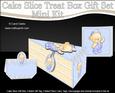3D Little Teddy Cake Slice Treat Box Gift Set Mini Kit