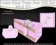 3D Pretty Daisy Cake Slice Treat Box Gift Set Mini Kit