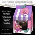 3D Xmas Robin Milk Carton Cupcake or Treat Box Mini Kit
