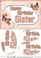 A5 Birthday Sister Butterflies & Flowers Oval Pyramage