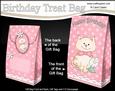 3D Cute Cat Birthday Gift Bag Mini Kit