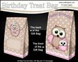 3D Cute Hoot & Little Hoot Owls Birthday Gift Bag Mini Kit