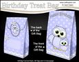 3D Cute Hoot & Little Hoot Owls Birthday Gift Bag Mini Kit