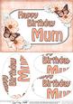 A5 Birthday Mum Butterflies & Flowers Oval Pyramage Topper