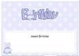 Birthday Cat Large Dl Matching Insert