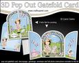 3D Girlz Suzi's Flower Basket Pop Out Gatefold Card Kit