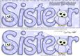 Large Dl Birthday Sister Owls Quick Card & 3D Decoupage
