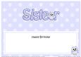 Birthday Owls Sister Matching Large Dl Insert