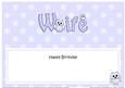 Birthday Wife Owls Matching Large Dl Insert