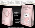 3D New Baby Girl Belle Teddy Bear Gift Bag Mini Kit