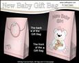3D New Baby Girl Belle Teddy Bear Gift Bag Mini Kit