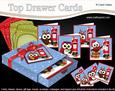 3D Xmas Little Hoot Owl Top Drawer Cards Bumper Kit
