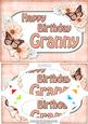 A5 Birthday Granny Butterflies & Flowers Scallop Corner