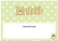 Birthday Owls Large Dl Matching Insert
