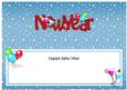 Large Dl New Year Celebrations Insert
