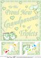 8 x 8 New Baby Grandparents of Triplets Scalloped Corner