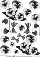 Pansy on Butterfly Lace Matching 3D Decoupage Sheet