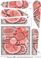 101st Birthday Perfume Lace & Pearls Fan Pyramage Topper