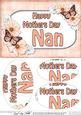 A5 Mothers Day Nan Butterflies & Flowers Oval Pyramage