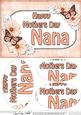 A5 Mothers Day Nana Butterflies & Flowers Oval Pyramage