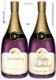 Large Dl Birthday Champagne Bottle Shaped Card