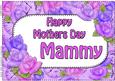A4 Mothers Day Mammy Time for Roses Card Topper