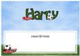 Large Dl Birthday Harry Football Insert