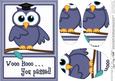 A5 Wise Owl You Passed Felties Oval Pyramage Topper