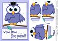 A5 Wise Owl You Passed Felties Oval Pyramage Topper