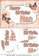 A5 Birthday Nan Butterflies & Flowers Oval Pyramage Topper