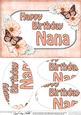 A5 Birthday Nana Butterflies & Flowers Oval Pyramage Topper