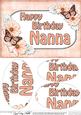 A5 Birthday Nanna Butterflies & Flowers Oval Pyramage Topper