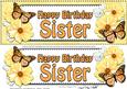 Large Dl Birthday Sister Floral Butterflies 3D Decoupage