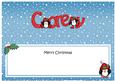 Large Dl Christmas Corey Penguins Insert