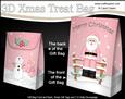 3D Christmas Santa Gift Bag Mini Kit