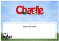 Large Dl Birthday Charlie Football Insert