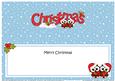 Large Dl Christmas Little Hoot Owls Love Insert