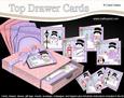 3D Christmas Snowman Top Drawer Cards Bumper Kit