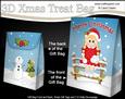 3D Little Christmas Ice Skater Gift Bag Mini Kit