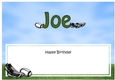 Large DL Birthday JOE insert