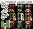 3D Christmas Cracker Boxes Tartan Snowman Rio has a Christmas Tree