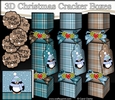 3D Christmas Cracker Boxes Tartan Penguin Pip