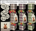 3D Christmas Cracker Boxes Tartan Penguin Little Rudy