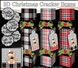 3D Christmas Cracker Boxes Tartan Cute Little Teddy Bear